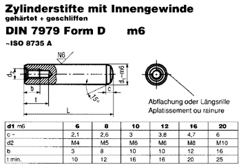 DIN 7979