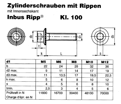 SN 3873 Inbus Ripp