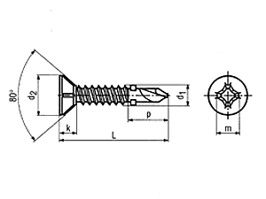 SN 1005 Flügelteks