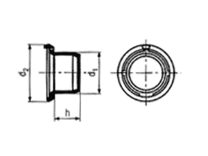 SN 1097