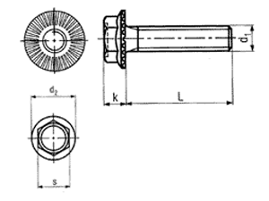 SN 2797