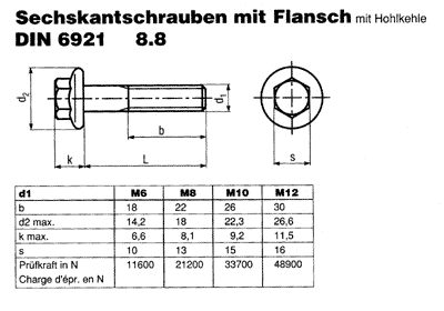DIN 6921